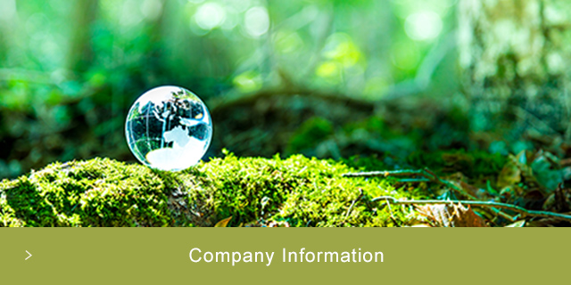 Company Information